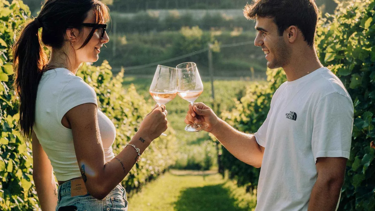 A couple clinking glasses of rosé wine between rows of vines