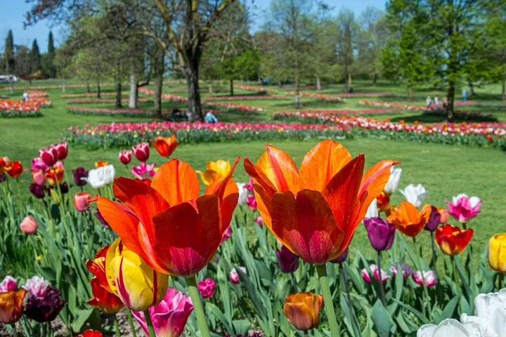 Flower beds and water gardens at Parco Giardino Sigurta near Lake Garda