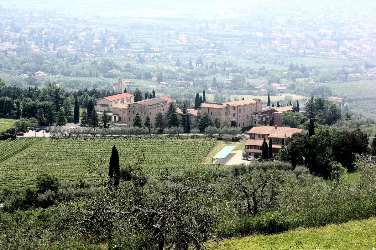 Vineyards and olive groves below the San Giorgio hermitage on the Rocca above Bardolino, Lake Garda, Italy