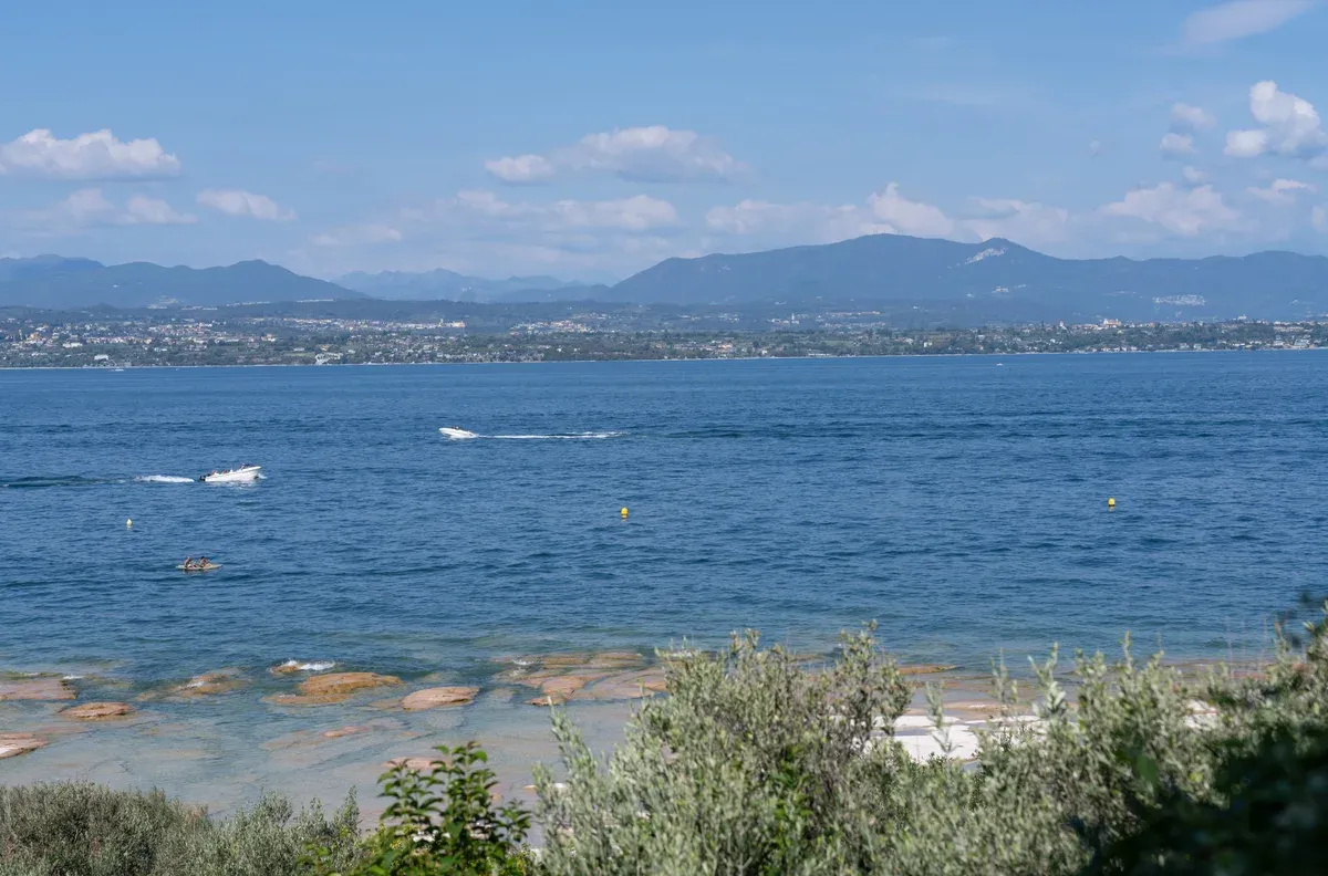 Motorboats crossing Lake Garda off Sirmione, Italy, with olive trees in the foreground
