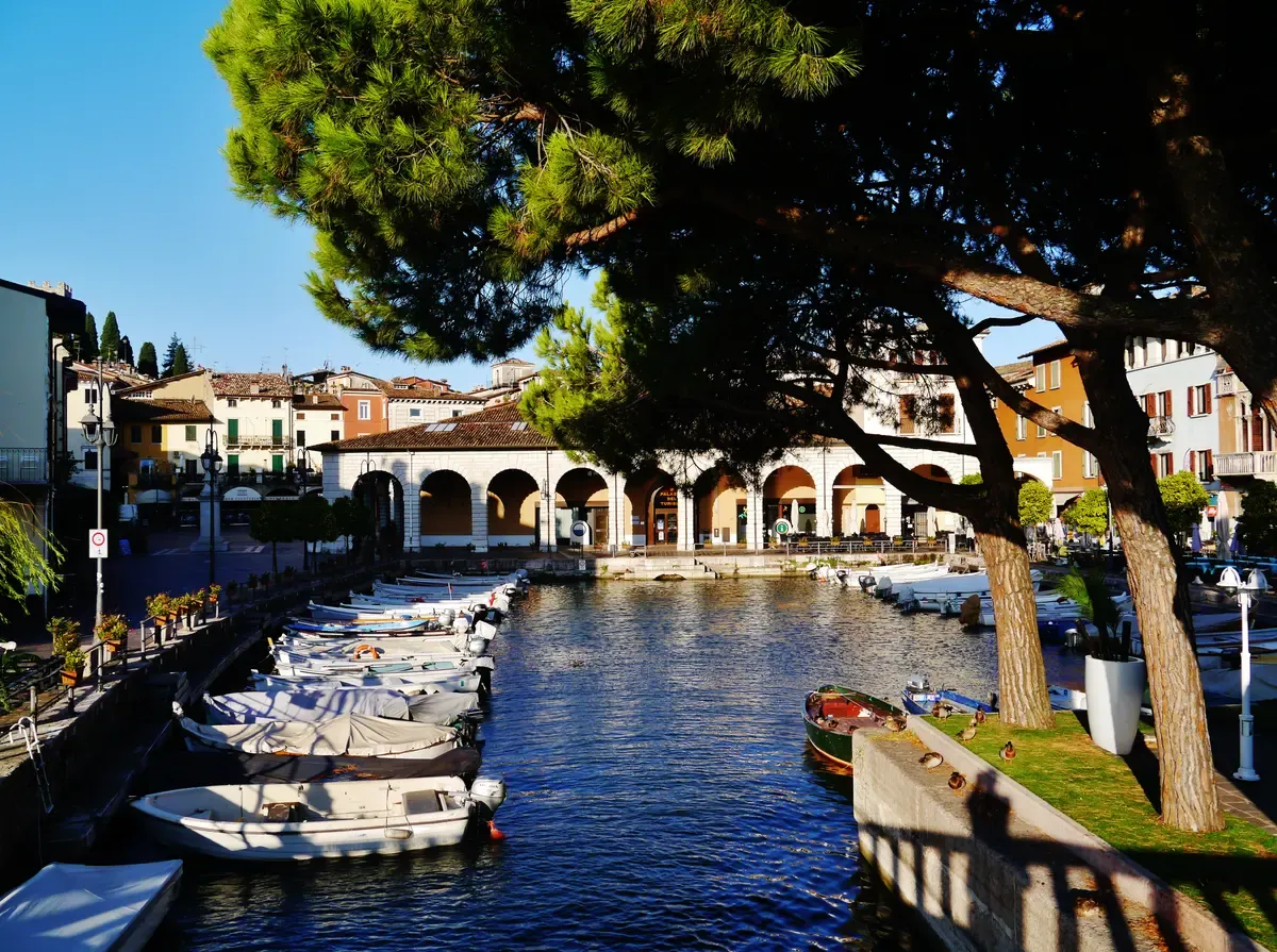 Small boats moored in the Porto Vecchio of Desenzano del Garda under umbrella pines, Lake Garda, Italy