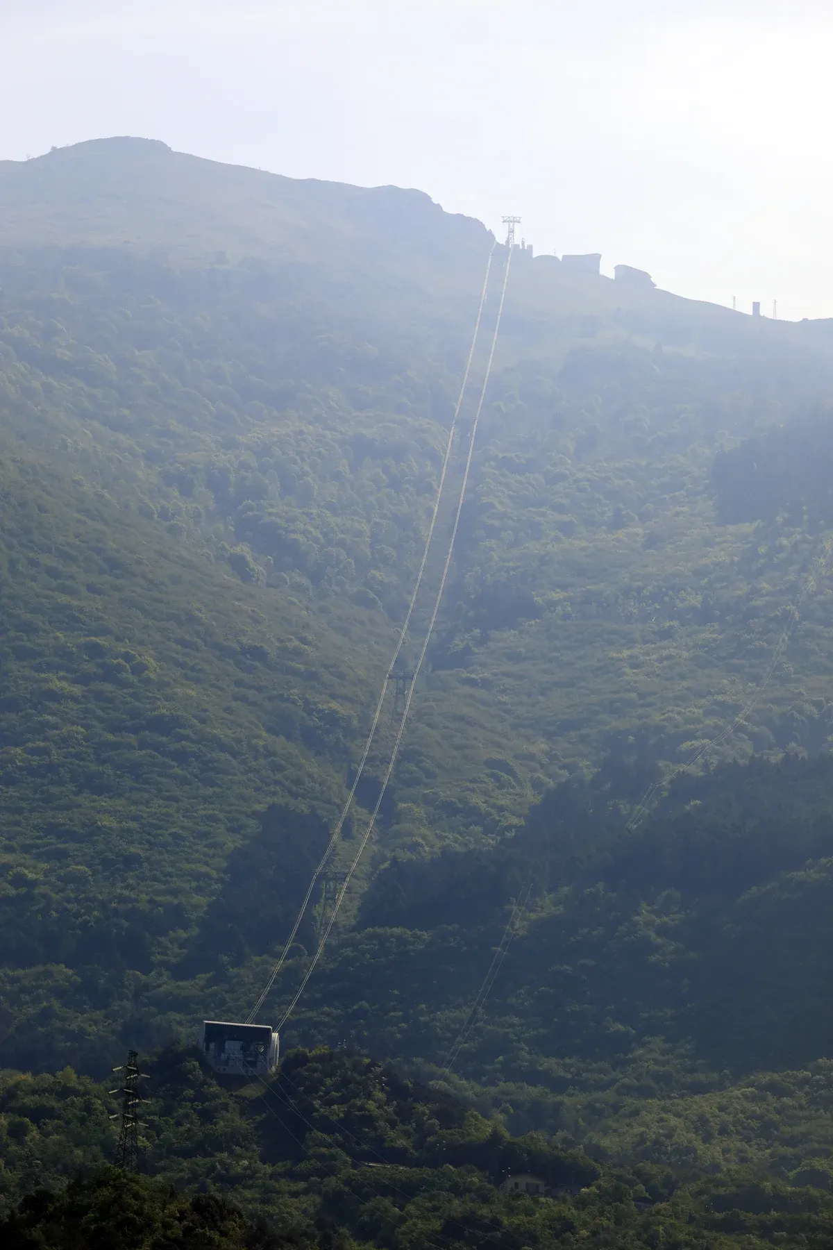 The Malcesine-Monte Baldo cable car line climbing the forested slope above Malcesine, Lake Garda, Italy
